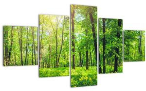 Obraz - Jarní listnatý les (125x70 cm)