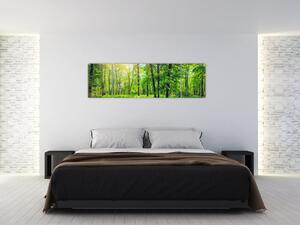 Obraz - Jarní listnatý les (170x50 cm)