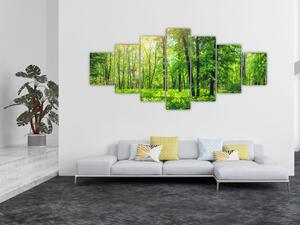 Obraz - Jarní listnatý les (210x100 cm)