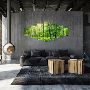 Obraz - Jarní listnatý les (210x100 cm)