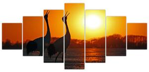 Obraz ptáků při západu slunce (210x100 cm)