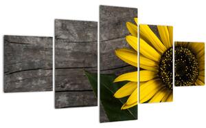 Obraz - Květ slunečnice (125x70 cm)