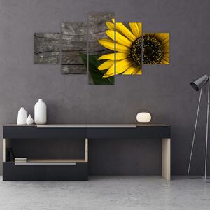 Obraz - Květ slunečnice (125x70 cm)