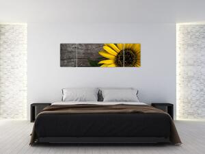 Obraz - Květ slunečnice (170x50 cm)