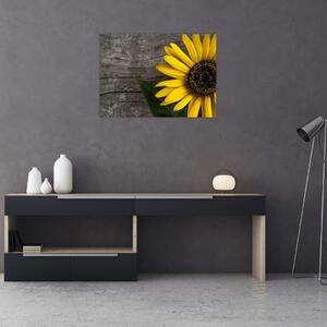 Obraz - Květ slunečnice (70x50 cm)