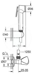 Grohe - Nástěnný ventil s ruční bidetovou sprškou, chrom