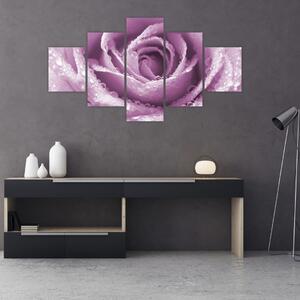 Obraz detailu květu růže (125x70 cm)
