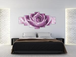 Obraz detailu květu růže (210x100 cm)