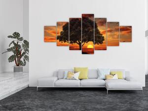 Obraz stromu se západem slunce (210x100 cm)