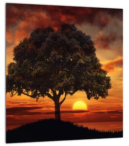 Obraz stromu se západem slunce (30x30 cm)