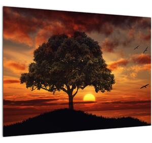 Obraz stromu se západem slunce (70x50 cm)