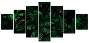 Obraz - Tropické kapradí (210x100 cm)