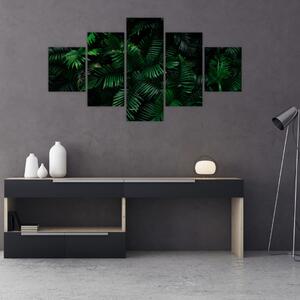 Obraz - Tropické kapradí (125x70 cm)