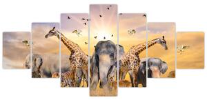 Obraz - Africká zvířata (210x100 cm)