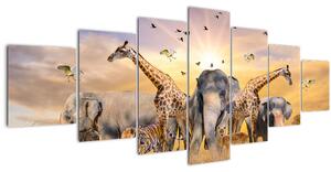 Obraz - Africká zvířata (210x100 cm)