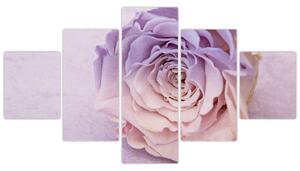 Obraz detailu květu růže (125x70 cm)