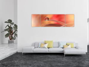 Obraz květinové kapky rosy (170x50 cm)