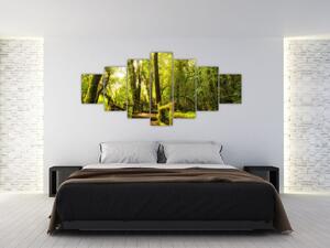 Obraz mechové džungle (210x100 cm)