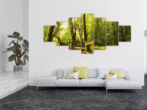 Obraz mechové džungle (210x100 cm)