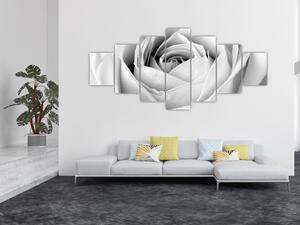 Obraz - Detail květu růže (210x100 cm)