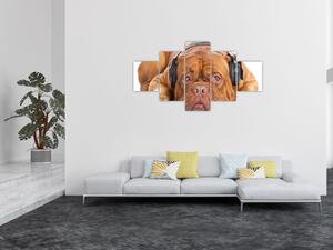 Obraz psa se sluchátky (125x70 cm)
