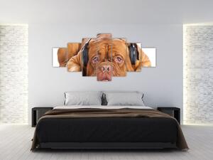 Obraz psa se sluchátky (210x100 cm)