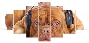 Obraz psa se sluchátky (210x100 cm)