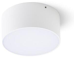 RED R14123 LARISA OUT 12 přisazená bílá 230V LED 10W IP65 3000K 4000K 5700K - RED - DESIGN RENDL