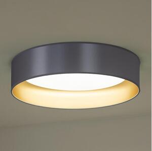 Duolla - LED Stropní svítidlo ROLLER LED/24W/230V pr. 45 cm stříbrná/zlatá