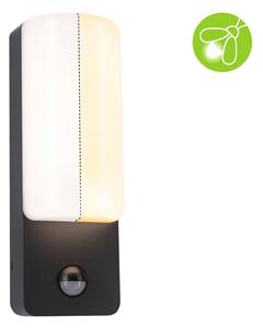 P 94853 LED venkovní nástěnné svítidlo Bonnie pohybové čidlo neláká hmyz a IP44 93x77mm 2200 - 3000K 8,5W 230V antracit hliník - PAULMANN