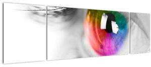 Obraz - Oční duhovka (170x50 cm)