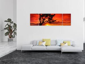 Obraz - Západ slunce (170x50 cm)