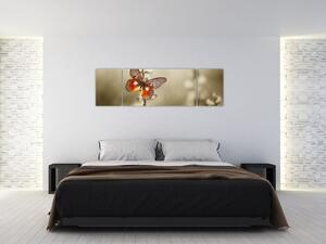Obraz motýla (170x50 cm)