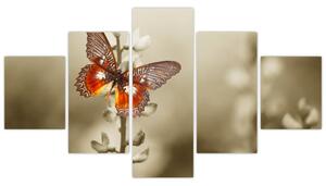 Obraz motýla (125x70 cm)
