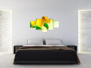 Obraz citrónů (125x70 cm)