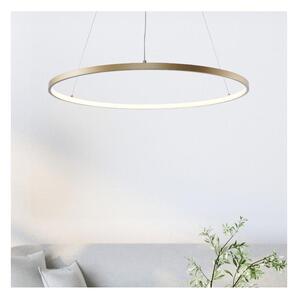 Zuma Line 2023201-GD60 - LED Lustr na lanku BRENO LED/28W/230V 3000/4000/6000K