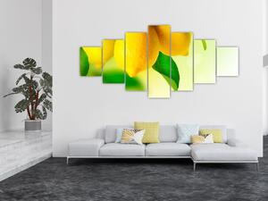 Obraz citrónů (210x100 cm)