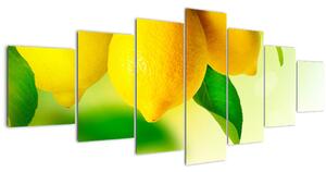 Obraz citrónů (210x100 cm)