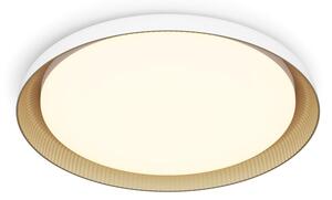 Philips - LED Stmívatelné stropní svítidlo PEBBLO LED/10W/230V 2700K bílá