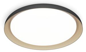 Philips - LED Stmívatelné stropní svítidlo PEBBLO LED/10W/230V 4000K černá