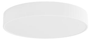 Stropní Lampa TEMAR LIGHTING, Cleo, stmívatelné, Bílá, Obývací pokoj, Kov, Moderní
