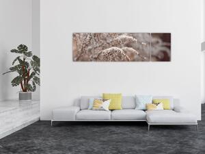 Obraz rostlin (170x50 cm)
