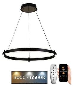 Brilagi-LED Stmívatelný lustr na lanku CIRCLE LED/85W/230V 3000-6500K černá + DO