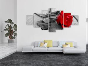 Obraz rudé růže (210x100 cm)