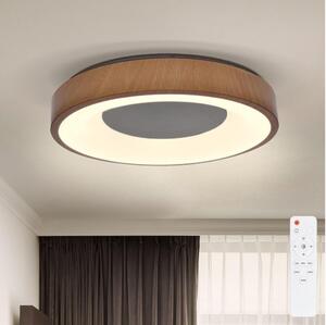 BRILAGI - LED Stmívatelné stropní svítidlo DORIA LED/48W/230V 3000-6500K + DO BG0907