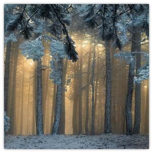Obraz zasněženého lesa (30x30 cm)