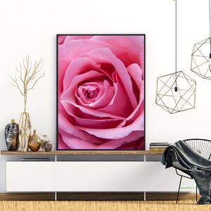 Plakát - Růžová růže (A4)