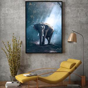 Plakát - Slon v džungli (A4)