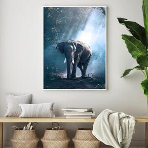 Plakát - Slon v džungli (A4)