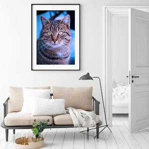 Plakát - Mourovatá kočka (A4)